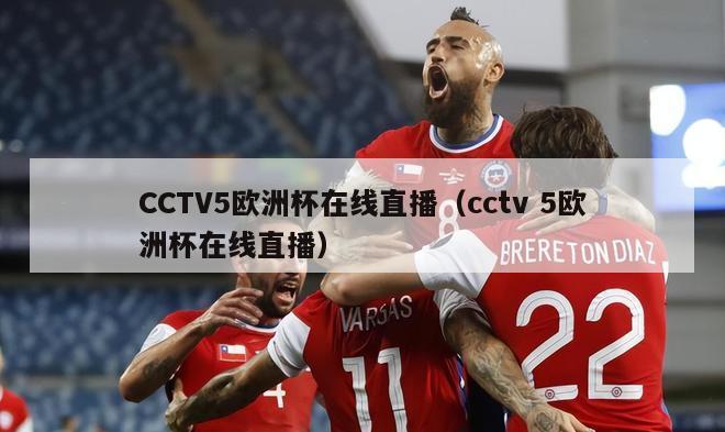 CCTV5欧洲杯在线直播（cctv 5欧洲杯在线直播）