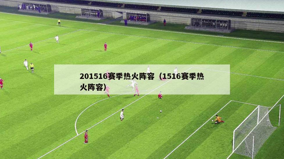 201516赛季热火阵容（1516赛季热火阵容）