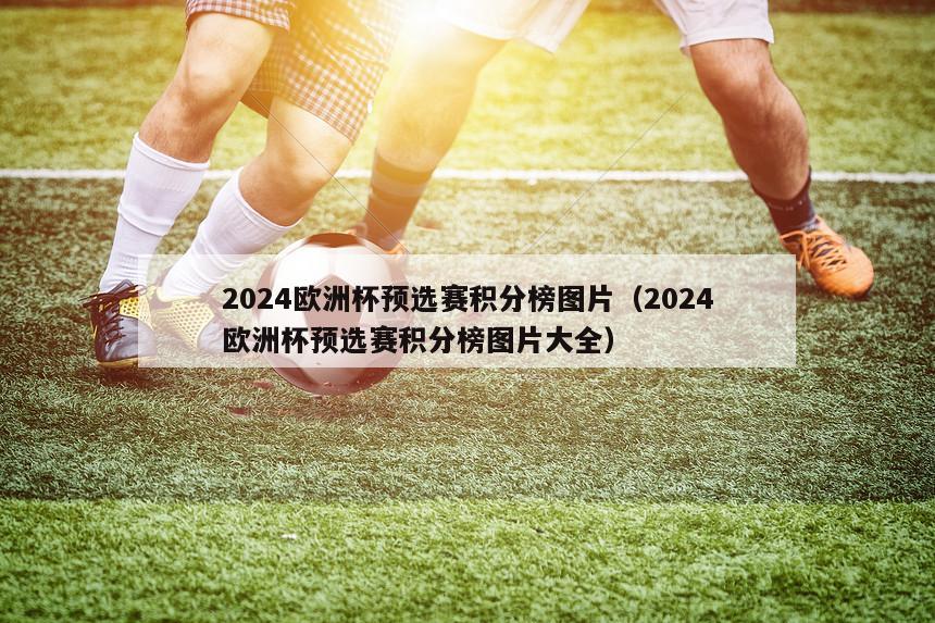 2024欧洲杯预选赛积分榜图片（2024欧洲杯预选赛积分榜图片大全）